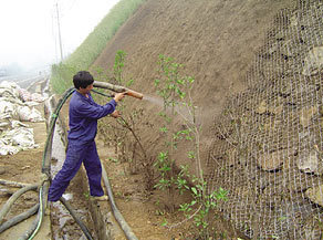 江西贛州邊坡綠化草種邊坡綠化材料三水園林供應(yīng)